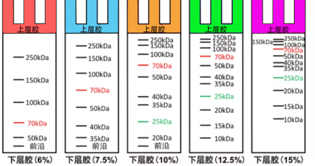 1667523686227189.jpg ba21dc215f29036f13af610d95898e6.jpg