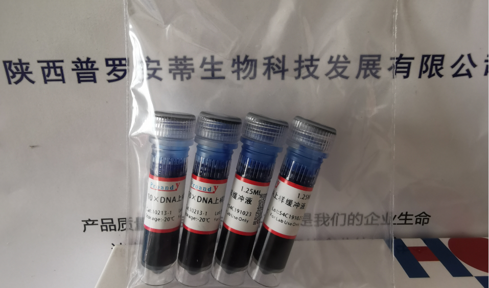 10xDNA上样液.png