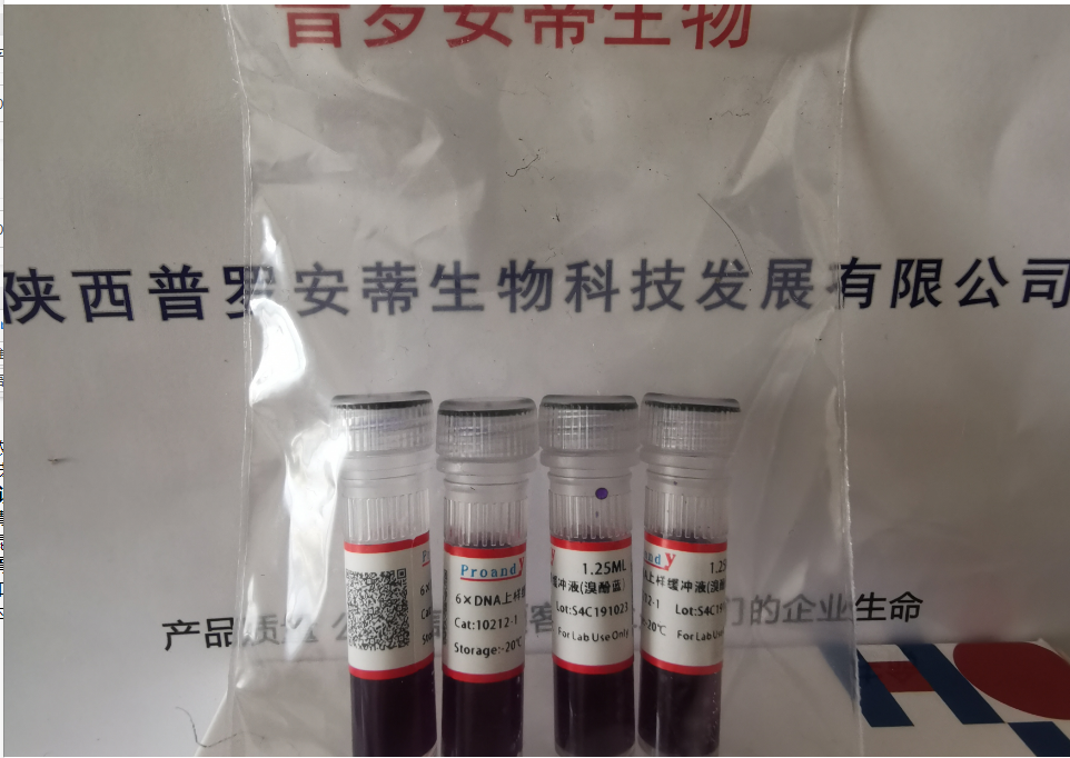 1697776103388534.png 6xDNA上样液.png