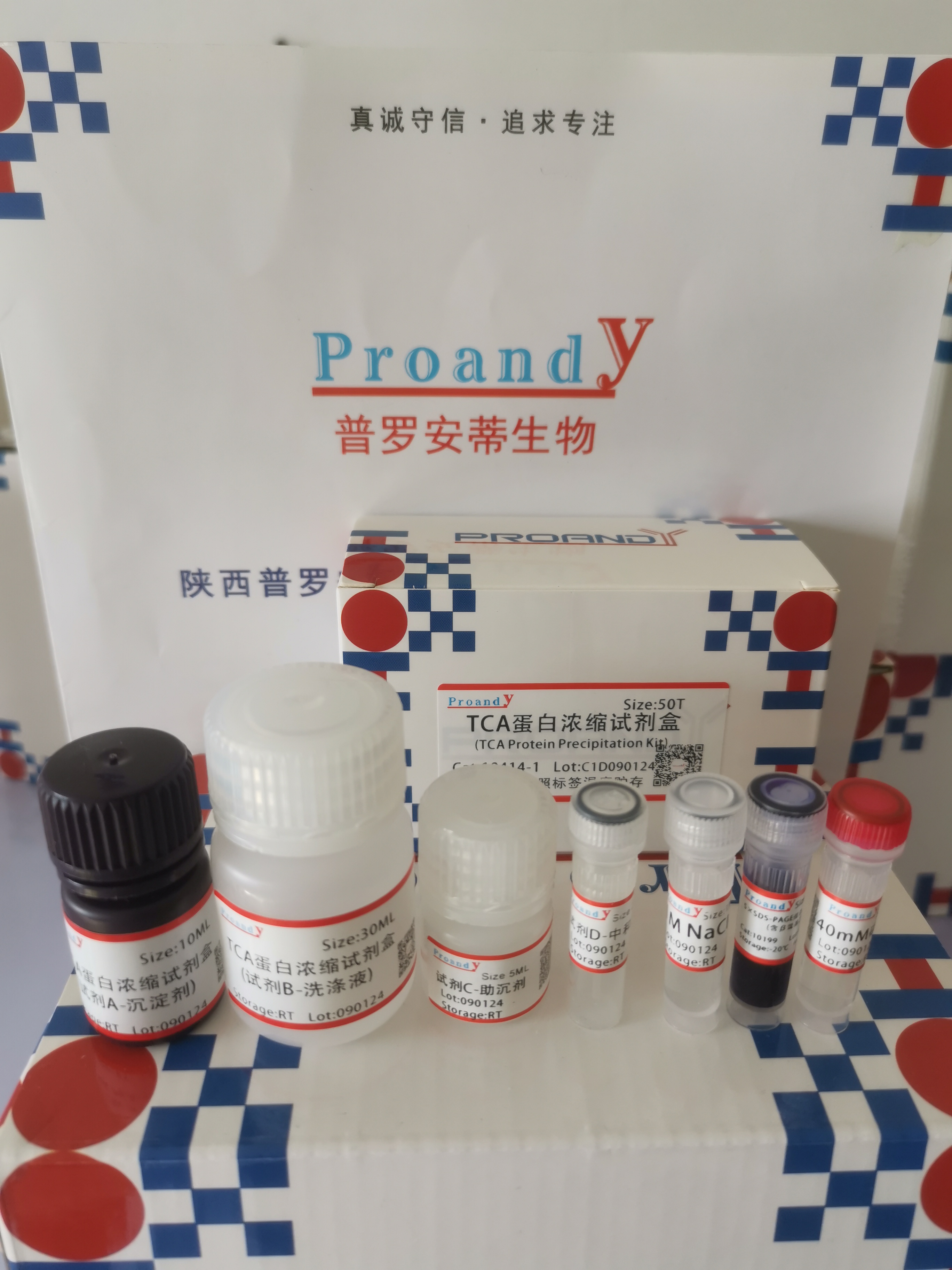 1704775791815541.jpg TCA蛋白浓缩试剂盒.jpg